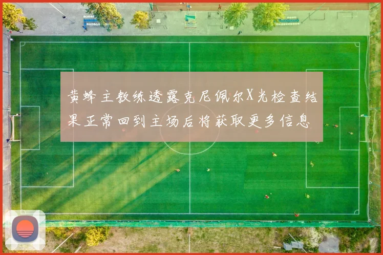 黄蜂主教练透露克尼佩尔X光检查结果正常回到主场后将获取更多信息