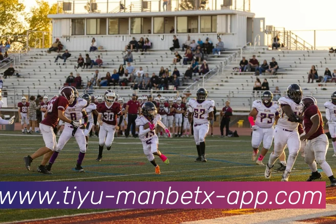 App Interface Preview