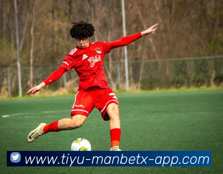 万博体育APP 封面图